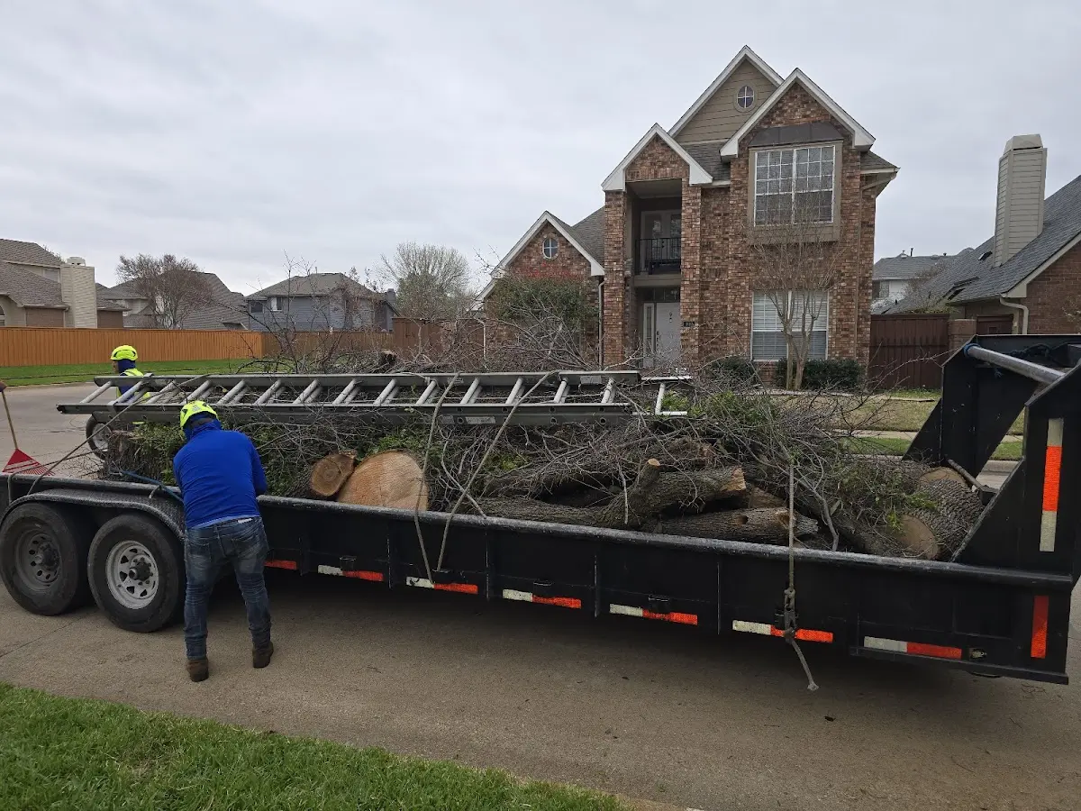 Expert Lot Clearing with proper safety equipment in Diamondhead